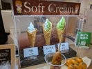 【カフェスペース・休憩所】人気のソフトクリーム♪