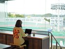 レストランもWI-FI完備、電源付きのカウンター席もございます。開放的なワークスペースとしても使えます