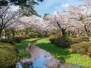 兼六園 ※画像提供:金沢市