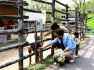 ■旭ヶ丘公園/車で10分■サルやウサギがいる入園料無料の公園(4月中旬〜10月末)