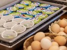 【朝食・小鉢バイキング】ヨーグルト、納豆、卵、、毎朝の習慣もキープできます。