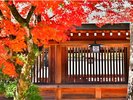 〜紅葉の名所:橿原神宮〜近鉄奈良駅から大和西大寺駅乗換にて終点橿原神宮駅前下車(約40分)