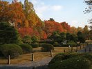 二条城入場券セットプラン販売中