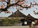 二条城入場券セットプラン販売中