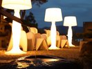 和庭園と西洋の家具が融合したデザイン