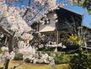 【敷地内での風景】コテージ(桜)