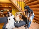 ペットと泊まれるお部屋です。犬ちゃんと素敵な思い出作りに。