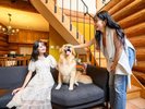 ペットと一緒に泊まれる部屋にはペット兼用ソファ♪わんちゃんも一緒にお部屋でゆっくり。