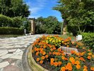 【入口付近】フィオーレはイタリア語でお花。入口付近では季節のお花をおたのしみいただけます♪