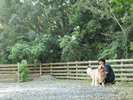 【ドッグラン】ご自由にご利用いただけます♪
