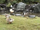 �����̂�т�߂�������