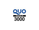 【QUO3000円カードプラン】
