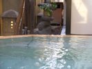 2023�N1�����j���[�A���I�I�V���C�u�ޕ��̓��v�����|���ԈȊO�͏�ɂ������\�ł��B