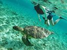 【カヤックで行くシュノーケルツアー】その日最もよいポイントまでカヤックを漕ぎシュノーケルを楽しんで。