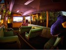 【わんこバス映画館】夜はバスの中で映画が楽しめます