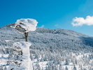 【八ヶ岳】長野県と山梨県へ南北に連なる日本百名山
