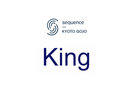 �yKing�z