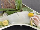 白イカは、イカの中でも“最高級”と評されるほどで、生姜醤油で食べると更に甘みもアップ!