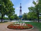 大通公園(夏)
