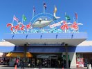 とれとれ市場(車7分)