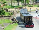 アドベンチャーワールド(ケニア号)