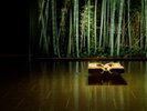 竹林の湯 〜湯峡の響き 優彩〜