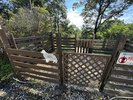 こちらは大型犬用のドッグラン。足元にはウッドチップを敷き詰めております。