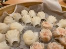 �c�̗[�H�o�C�L���O�@�Ĕ��E�n�[�J�I