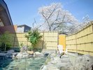 桜はもちろん女性の露天風呂からも見ることができます!
