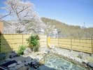 花見を楽しめる女性露天風呂。大きな桜の木が風でたおやかに揺れます。