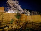 夜桜の美しい当館の露天風呂(女性):ゆったりとからだを休めて下さい。