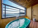 �yC�^�C�v�z�a��10��^�C�v�̘I�V���C