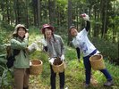秋のキノコ狩り