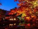 ���䎛�͏t�͔g�S��̂�������A�H�͍g�t�A��̃��C�g�A�b�v�ƌ��ǂ��떞�ځA���z�e�����炨�Ԃ�10���]