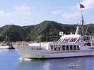 「鯛の浦遊覧船」当館より車で約30分。特別天然記念物の鯛の生息地を遊覧船から見ることができます。