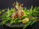 【お食事一例】夏の献立・焼物「若鮎炭火焼」
