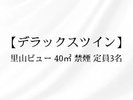 客室:デラックスツイン 里山ビュー