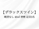 客室:デラックスツイン