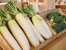採れたてお野菜も販売(日によって販売しているお野菜は変わります)