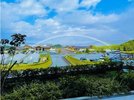 ホテルから見える景色
