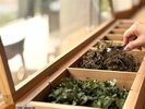 選んで、混ぜて、癒される。薬草入浴剤づくり体験