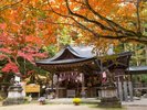等彌神社