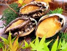 夕食「囲炉裏グレードアップ」当館一番人気のコースに新鮮なアワビをお付けします。