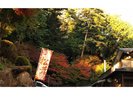 紅葉に彩られた玄関前。秋の美しさと温かさがお出迎え。美食とくつろぎの旅をお楽しみください。