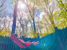 360度森が見渡せる露天風呂です!