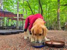 たき火を囲えるカフェで一息