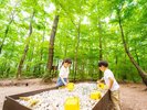 併設のカフェ利用で「森の宝石探し」も体験可能!