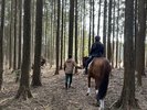 毎週金曜日のホテル宿泊者限定乗馬体験@北駿ホースヴィラ。詳しくはホテルまでお問合せください。
