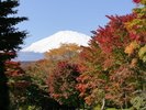 秋の富士霊園の様子