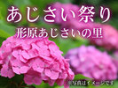 あじさいの里入園券と無料送迎サービス付きプランです。夕食後19:30にホテル出発!送迎付きで夜でも安心♪